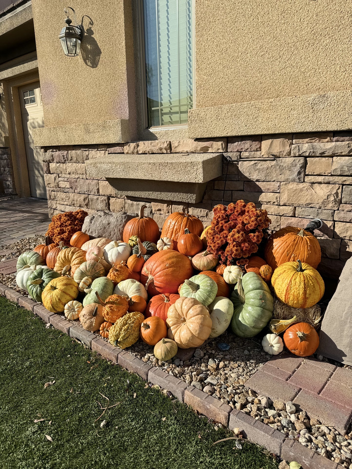 The Harvest King Package
