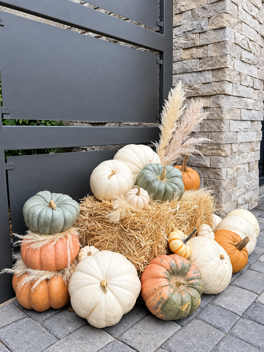 Moonlight Magic Pumpkin Package