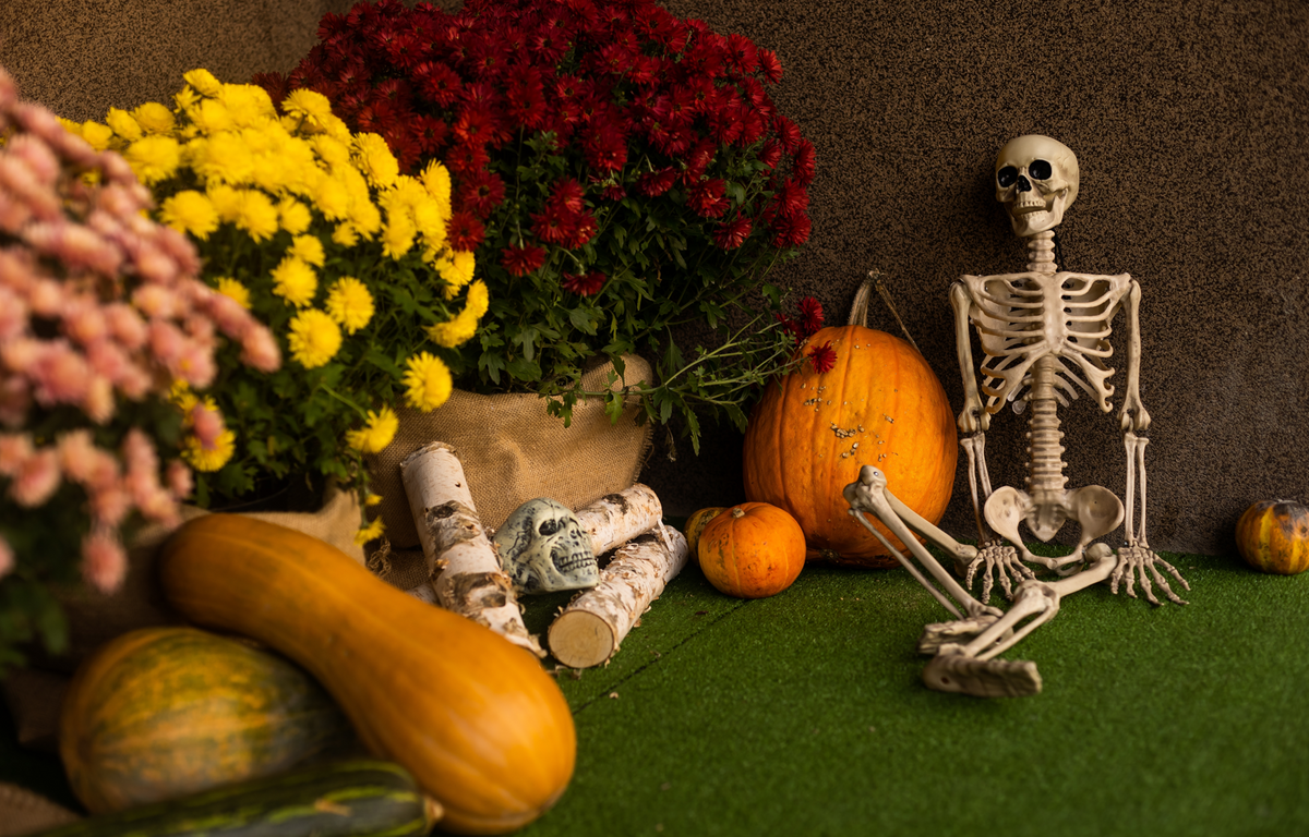 The Haunted Harvest Package