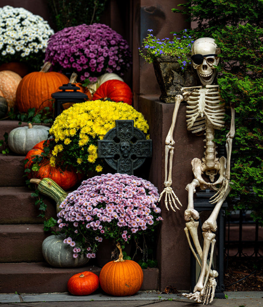 The Haunted Harvest Package