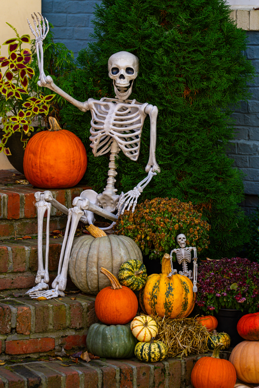 Classic Halloween Harvest