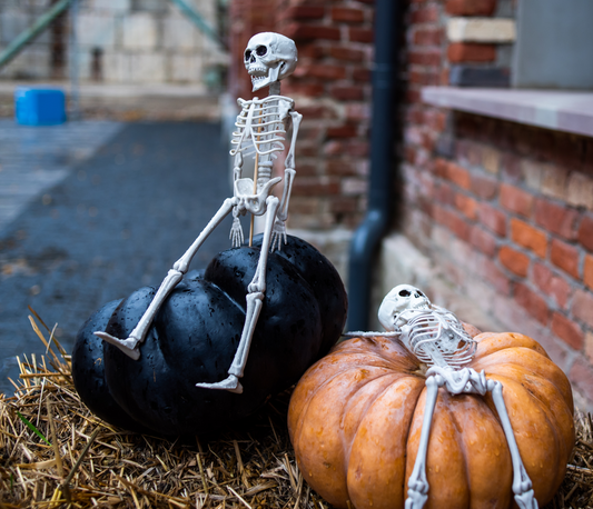 Classic Halloween Harvest